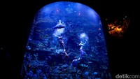 Mengisi Libur Panjang di Wisata Oceanium