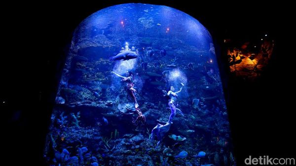 Mengisi Libur Panjang di Wisata Oceanium