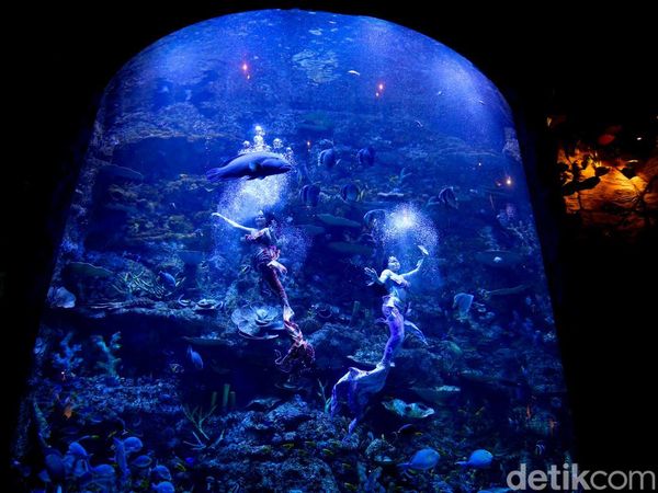 Mengisi Libur Panjang di Wisata Oceanium