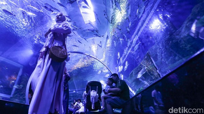 Mengisi Libur Panjang di Wisata Oceanium