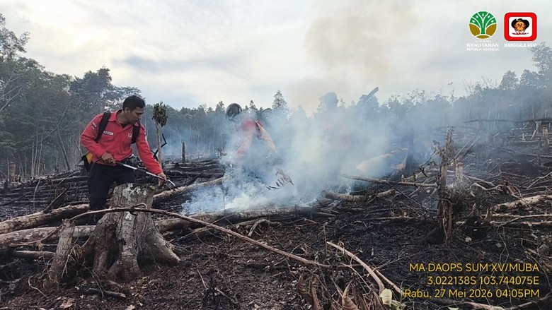 8 Daerah di Sumsel Terjadi Karhutla Selama 4 Bulan, 182,54 Hektare Lahan Terbakar