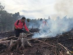 8 Daerah di Sumsel Terjadi Karhutla Selama 4 Bulan, 182,54 Hektare Lahan Terbakar