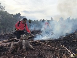 8 Daerah di Sumsel Terjadi Karhutla Selama 4 Bulan, 182,54 Hektare Lahan Terbakar