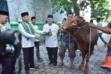 PPP Gelar Kurban Serentak Nasional, Lebih dari 100 Hewan Disalurkan