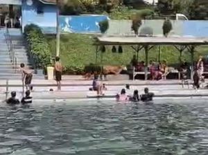 Video Sapi Kurban Kabur ke Area Kolam Renang, Pengunjung Kocar-kacir