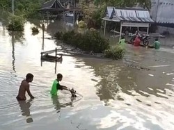 Derita 408 Pengungsi Banjir di Luwu Utara yang Tenggelamkan 2 Dusun