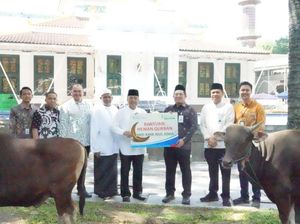 Bank Sumsel Babel Salurkan Hewan Kurban, Perkuat Kepedulian Sosial