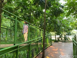 5 Rekomendasi Taman Kota di Bandung, Gratis dan Asri!