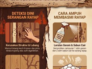 Infografis: Tanda Ada Rayap di Rumah dan Cara Mudah Membasminya
