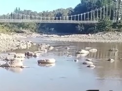 Heboh Sungai Talau Belu Tercemar Diduga karena Mol Batu, Polisi Selidiki