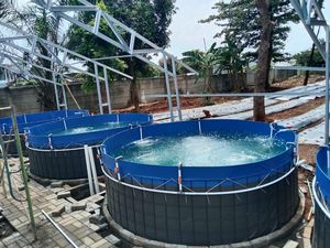 Teknologi Pompa Udara Yasunaga Bantu Tingkatkan Produktivitas Tambak