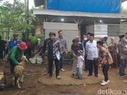 Baznas Salurkan Puluhan Kambing Kurban Dam Haji di Pemalang