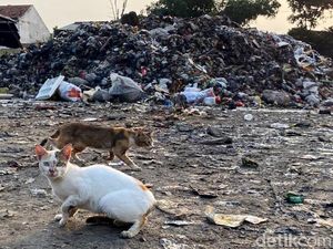 Lika-liku Darurat Sampah Bandung: Diminta Farhan, Ditolak Dedi Mulyadi