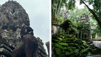 Bangunan Megah yang Ditelan Alam, Pemandangannya Bikin Merinding