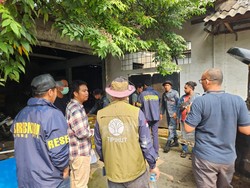 WNA Terlibat Penyelundupan Satwa Liar, 11 Sanca Hijau Papua Disita di Bekasi