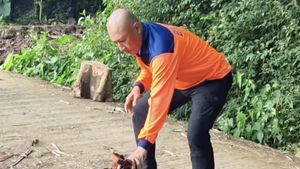 Mata Heru Jejak Si Gundul Kena Sembur Bisa Ular Kobra, Begini Kondisinya