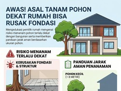 Jangan Asal Tanam Pohon Dekat Rumah, Bisa Rusak Fondasi hingga Undang Hama