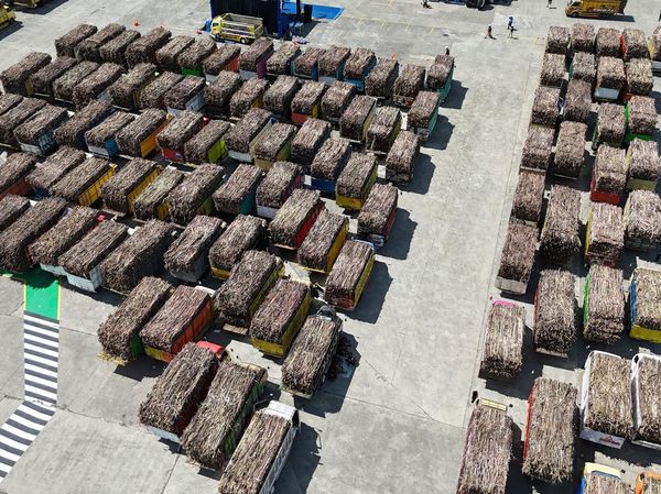 Jatim Targetkan Sumbang 51 Persen Produksi Gula Nasional