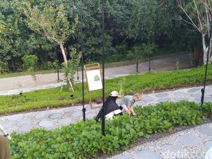 Seribu Pohon Endemik Pulau Dewata Ditanam di Nuanu Park