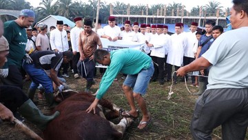 Polda Riau Salurkan Sapi Kurban Kapolri dan Kapolda ke Ponpes UAS