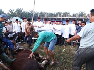 Polda Riau Salurkan Sapi Kurban Kapolri dan Kapolda ke Ponpes UAS