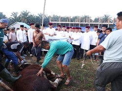 Polda Riau Salurkan Sapi Kurban Kapolri dan Kapolda ke Ponpes UAS
