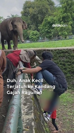 Video: Duh, Anak Kecil Terjatuh ke Kandang Gajah Ragunan