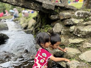 Liburan Edukatif untuk Keluarga di Kebun Raya Cibodas, Lebih Nyaman Tanpa Pungli