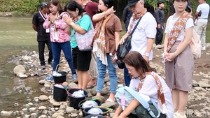 Jelang Waisak, Umat Buddha Lepas Ribuan Ikan-Merpati di Sungai Progo