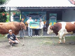 Cerita Telkomsel Salurkan Hewan Kurban di Momen Iduladha 1447 H