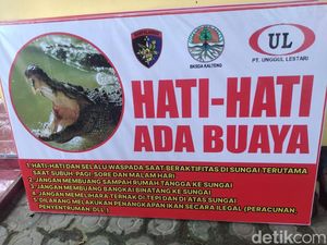 Warga Kobar Resah Ada Buaya Terlihat di Pantai Kubu