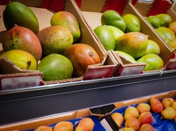 Mangga Cepat Busuk Padahal Baru Dibeli? Coba Simpan di Suhu Ideal Ini