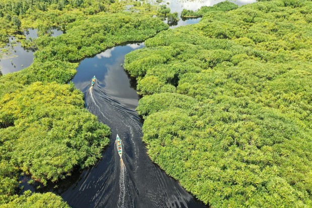 Kalimantan, destinasi terbaik di Indonesia versi Travel + Leisure/Foto: Unsplash.com/Barkah Wibowo Kalimantan adalah destinasi terbaik di Indonesia versi Travel + Leisure yang menawarkan ekowisata hutan tropis, konservasi orangutan, dan pengalaman susur sungai yang autentik di alam liar yang masih terjaga.