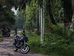 Kepergok Curi Sawit, Komplotan Pencuri Bacok Guru di Labuhanbatu