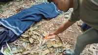 Tragis Pria Sumba Barat Daya Tewas Dibacok 3 Orang