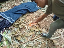 Tragis Pria Sumba Barat Daya Tewas Dibacok 3 Orang