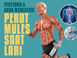 Infografis: Sisi Ilmiah Runners Trot, Fenomena Mendadak Mules Saat Lari
