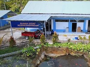 Intip Dampak Geliat Budidaya Sidat di Nusakambangan bagi Ekonomi Warga Cilacap