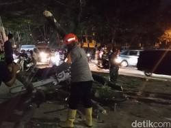 Pohon Tumbang Dekat Unpad Jatinangor, Empat Pemotor Tertimpa