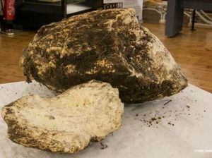 Terkubur Ribuan Tahun, 7 Makanan Ini Jadi Saksi Sejarah Dunia