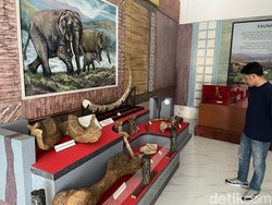 Mengenang Selat Muria di Museum Situs Purbakala Patiayam Kudus