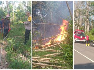 Damkar Lubuklinggau Ingatkan Karhutla Sasar Semak Belukar Pinggir Jalan