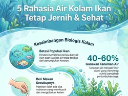Infografis: Nggak Cukup Dikuras, 5 Cara Bikin Air Kolam Ikan Tetap Jernih