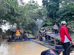 Operasi Besar-besaran di Sungai Kuantan, Polisi-TNI Musnahkan 145 Rakit PETI