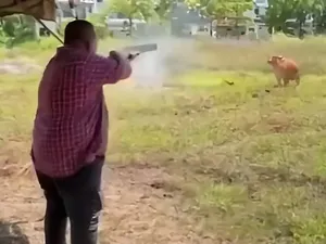 Pejabat Tembak Sapi Kurban Idul Adha Pakai Senapan, Publik Malaysia Terbelah