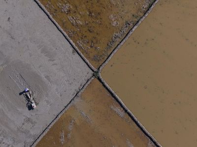 Petani Kendari Mulai Garap Kembali Sawah Pascabanjir