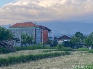 440 Hektare Sawah di Karangasem Hilang dalam 5 Tahun, Banyak Jadi Vila