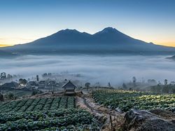 BMKG Ungkap Penyebab Fenomena Bediding Landa Jawa Timur