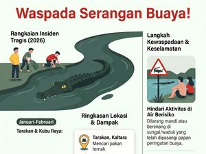 Infografis: Seri Teror Buaya di Kalimantan Sepanjang Awal 2026