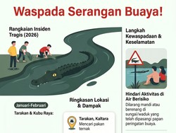 Infografis: Seri Teror Buaya di Kalimantan Sepanjang Awal 2026